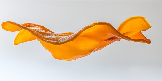 空中的薯片特写