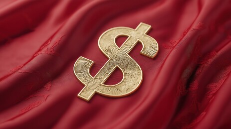 红布上的金色美元符号