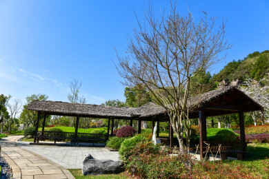 阳光下的公园长廊长亭廊亭