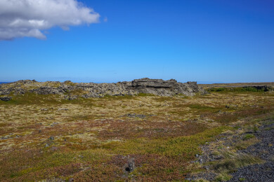 冰岛，苔原地貌