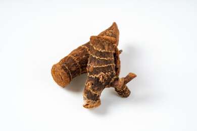 卤料良姜白底图