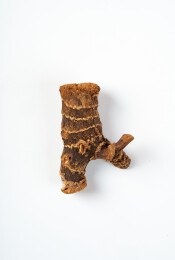 卤料良姜白底图