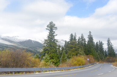 九寨沟环线西线G544沿途弓杠岭雪山森林