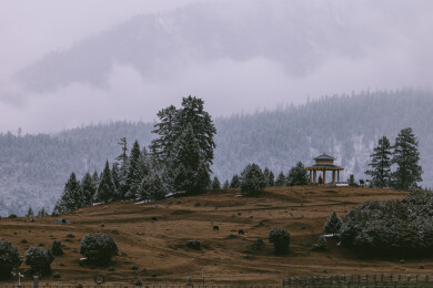 中国西藏林芝鲁朗小镇春季雪景
