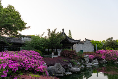 宁波月湖公园的中国风中式园林建筑