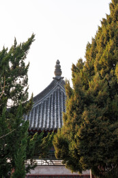 西安碑林博物馆中国风中式美学古建筑