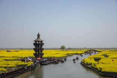 千岛垛田油菜花海自然风光