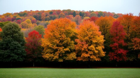 色彩斑斓的秋天