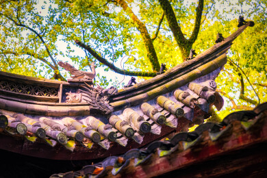 春季白天浙江宁波天一阁博物馆园林风景