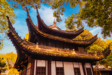春季白天浙江宁波天一阁博物馆园林风景