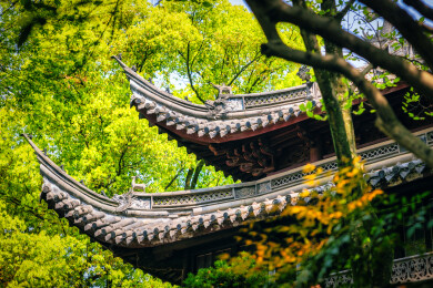 春季白天浙江宁波天一阁博物馆园林风景