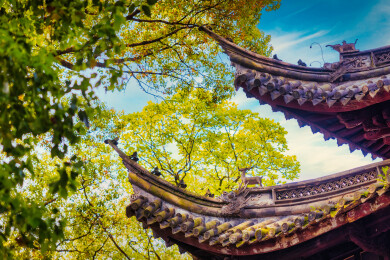 春季白天浙江宁波天一阁博物馆园林风景