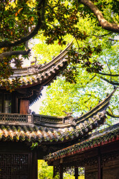 春季白天浙江宁波天一阁博物馆园林风景