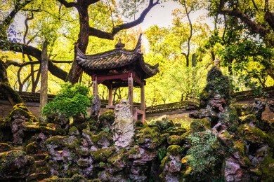 春季白天浙江宁波天一阁博物馆园林风景
