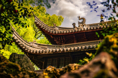 春季白天浙江宁波天一阁博物馆园林风景