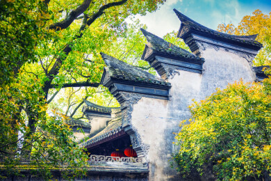 春季白天浙江宁波天一阁博物馆园林风景