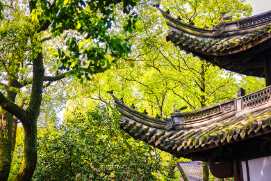 春季白天浙江宁波天一阁博物馆园林风景
