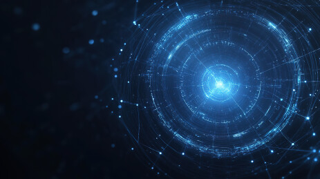 一只漂亮的猫的画像