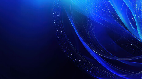 一只漂亮的猫的画像