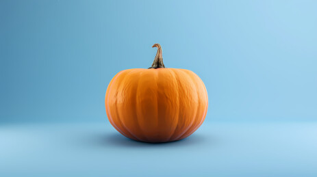 橙色南瓜与天蓝