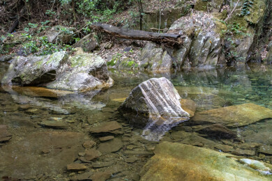 山间清澈溪流与岩石景象
