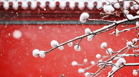 瑞雪红墙冬景图