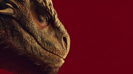 红底金色龙首霸气呈现