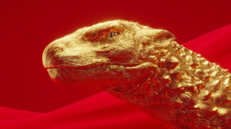 红底金色龙首霸气呈现