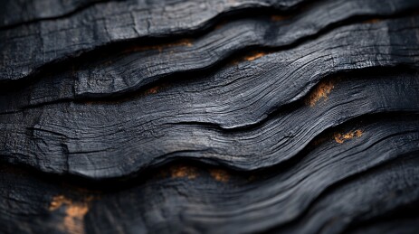 烧焦木纹纹理画面
