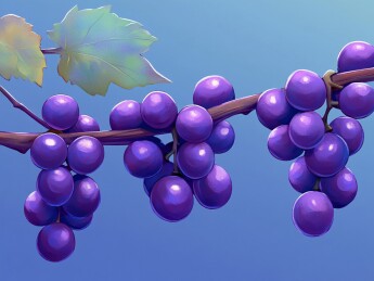 紫葡萄插画