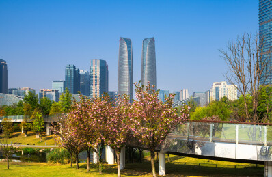 中国四川成都金融城双子塔交子公园春季风光