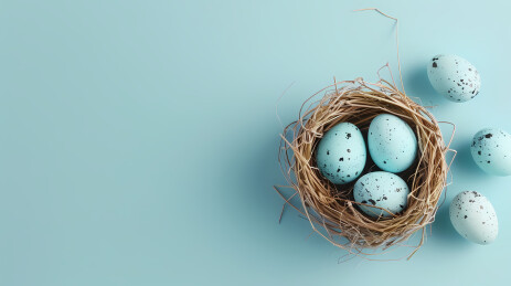 编织巢与蓝色蛋