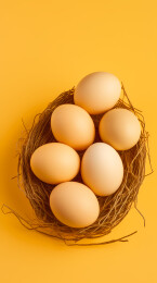 黄色巢与鸡蛋