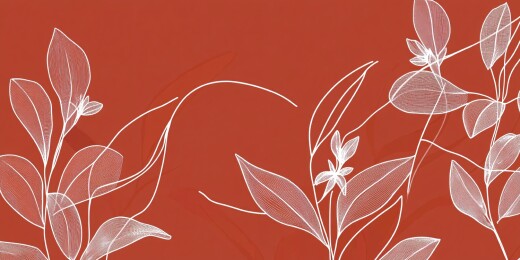 红色背景花卉线条插画
