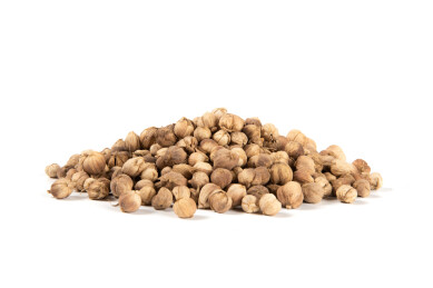 白底上的中药材白豆蔻