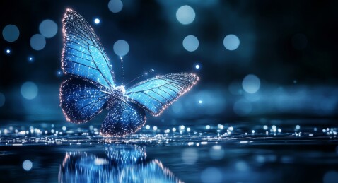 蓝色发光蝴蝶微距特写