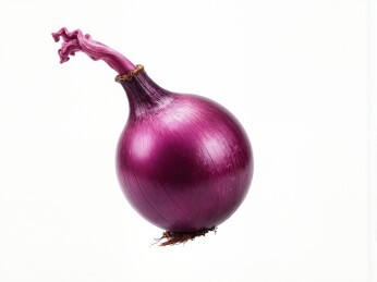 紫色洋葱的特写主题