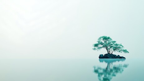 孤树静湖倒影