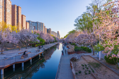 北京望京海棠花溪