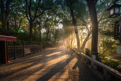 苏州虎丘风景区秋景