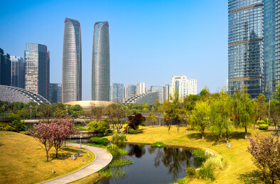 中国四川成都金融城交子公园春季盛开的樱花