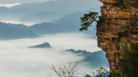日出时分的张家界武陵源景区天子山风光
