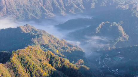 日出时分的张家界武陵源景区天子山风光