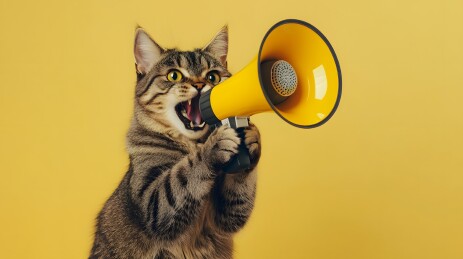 猫咪手持喇叭大声呼喊