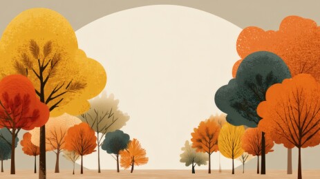 秋日暖阳森林景色图