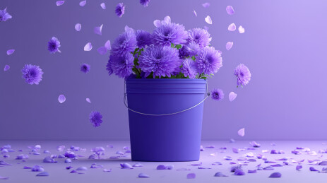 一桶紫色菊花