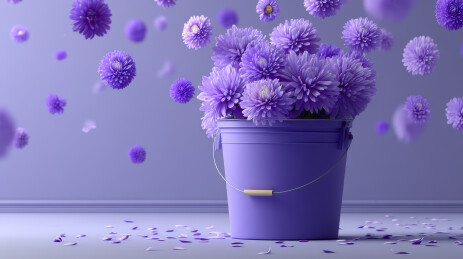 一桶紫色菊花
