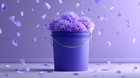 一桶紫色菊花