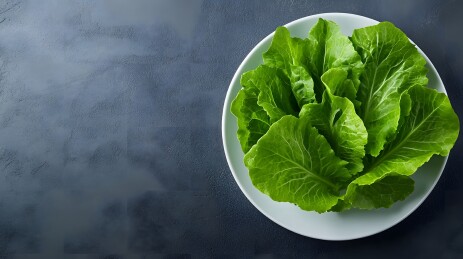 白色盘子里的新鲜绿色生菜