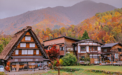 深秋红叶季的日本白川乡村落景观